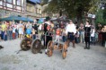 /album/doubravka-zari2010/a04-jpg/